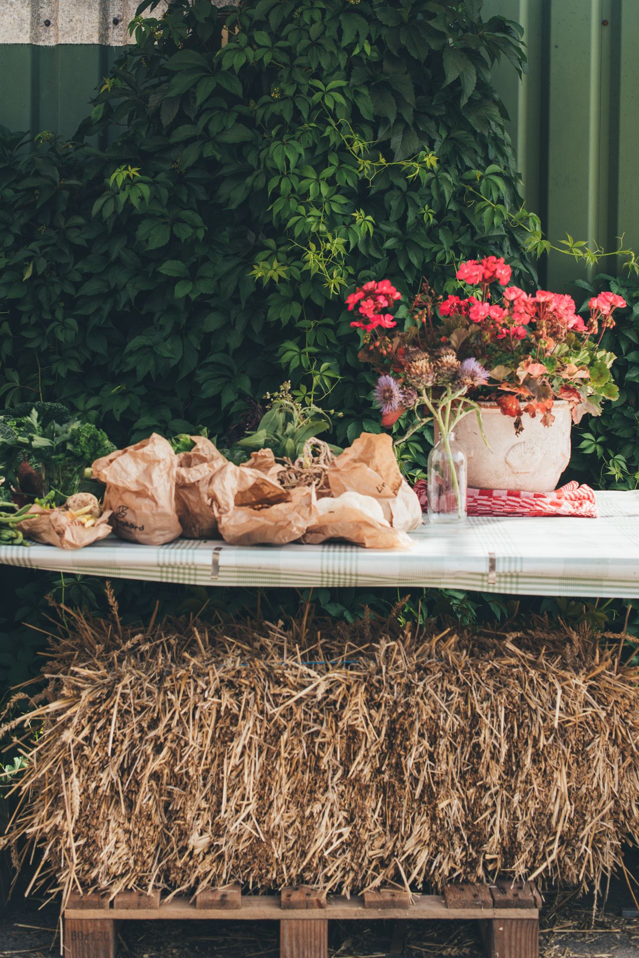 Leer vegan en vegetarisch koken bij HartBiet en Boerin en de Kok