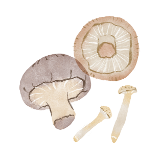 Leer vegan en vegetarisch koken bij HartBiet